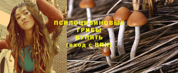 шишки Аркадак