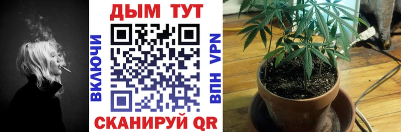Бошки Шишки конопля  Голицыно 